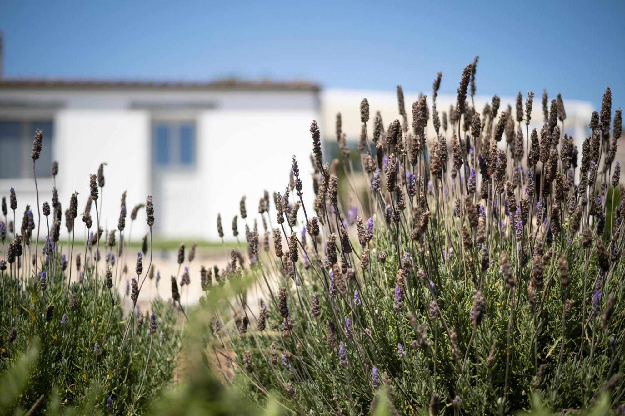 Casa Di Minnanni B&B Santa Teresa Gallura Zewnętrze zdjęcie